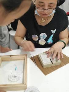 会员吴小岚带领学生开展蝴蝶观测活动